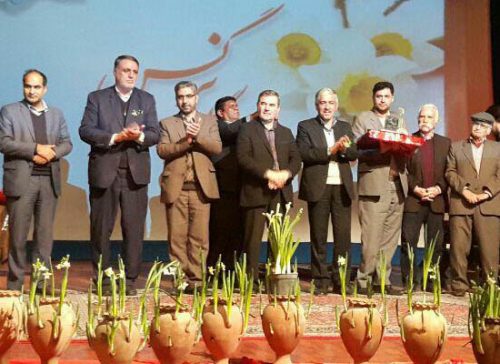 ضرورت تبدیل شدن سمنان به مهد پرورش گل نرگس در کشور