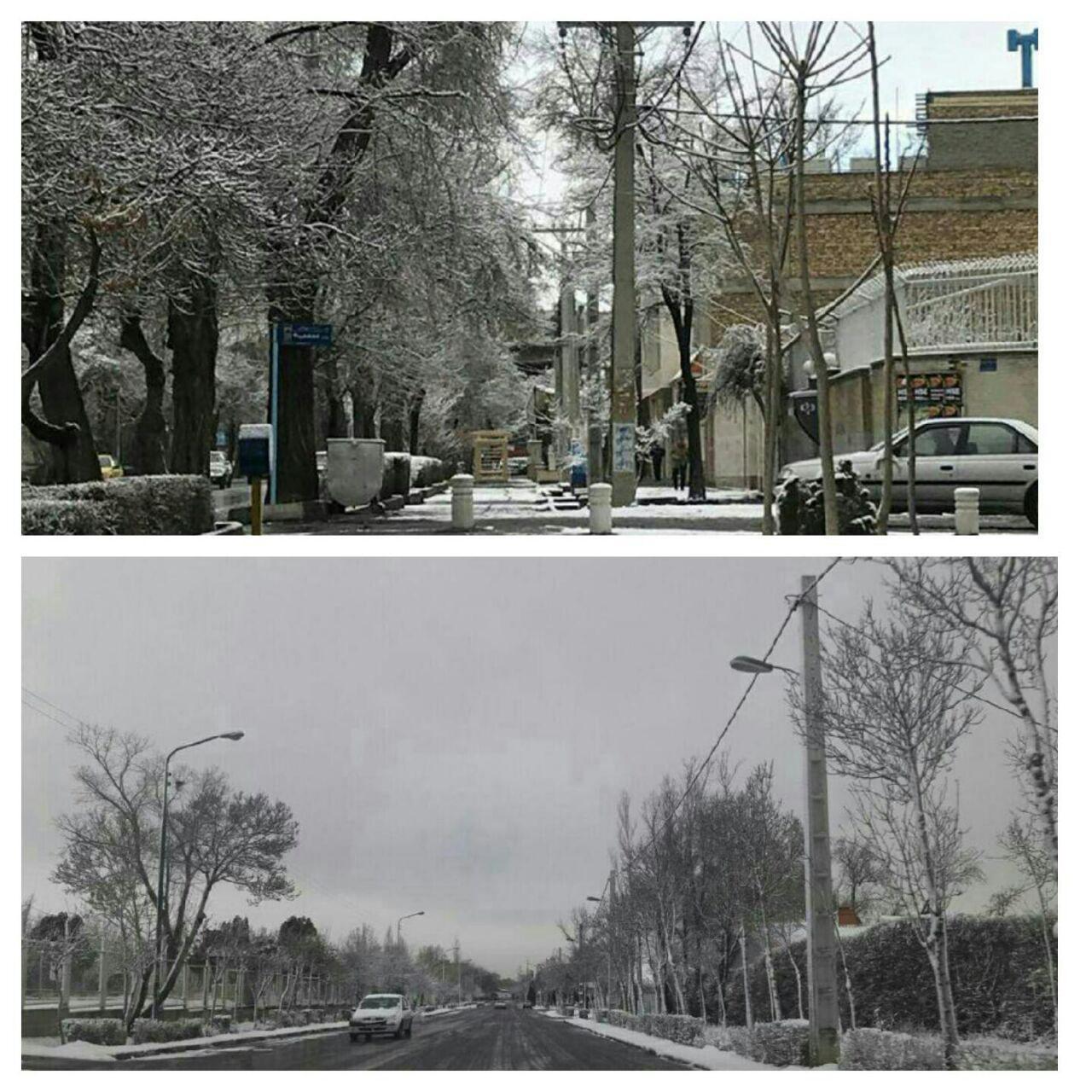 استان مرکزی سفید پوش شد/ تعطیلی مدارس استان مرکزی به علت بارش برف