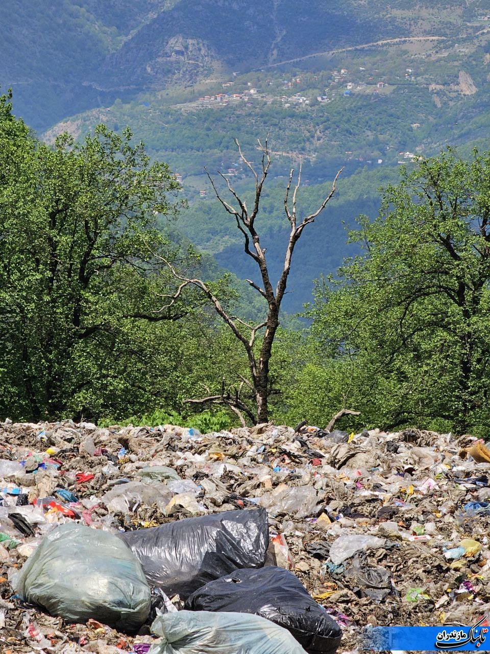 فاجعه در نابودی طبیعت با انباشت زباله در جنگل کلاکولی رامسر+ تصویر
