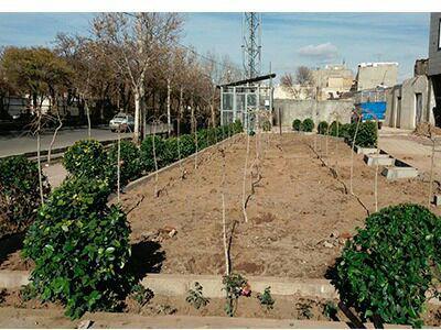 حاشیه خیابان نواب تحت پوشش فضای سبز قرار گرفت حاشیه خیابان نواب تحت پوشش فضای سبز قرار گرفت