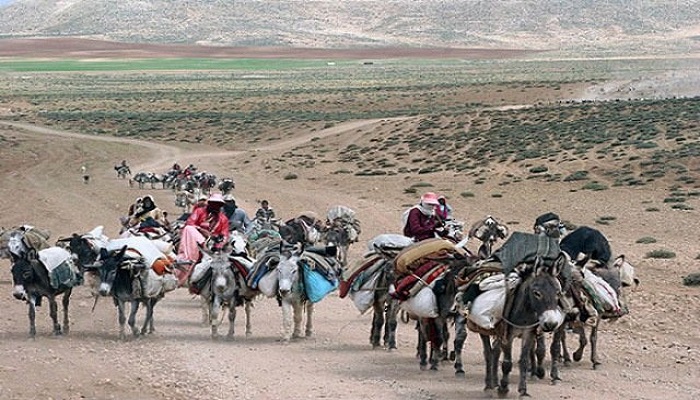 آغاز کوچ پاییزه عشایر کرمانشاهی از ۱۰ آبان ماه آغاز کوچ پاییزه عشایر کرمانشاهی از ۱۰ آبان ماه