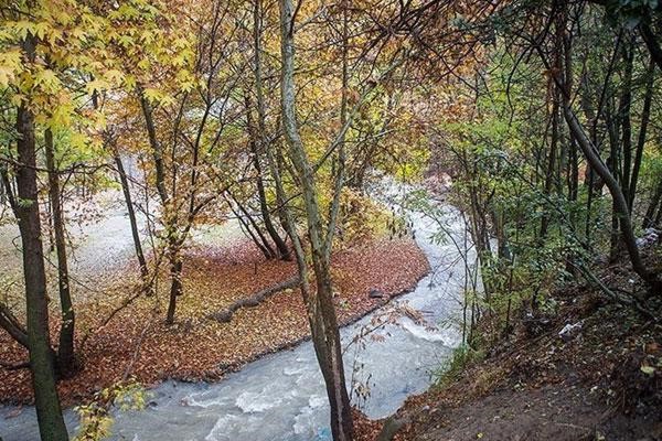 سفر به اطراف تهران و اجاره اقامتگاه با قیمت مناسب سفر به اطراف تهران و اجاره اقامتگاه با قیمت مناسب
