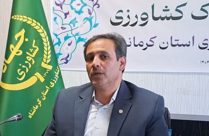 تأمین کامل کالاهای اساسی در کرمانشاه؛ انبارهای استان مملو از کالاهای اساسی است تأمین کامل کالاهای اساسی در کرمانشاه؛ انبارهای استان مملو از کالاهای اساسی است