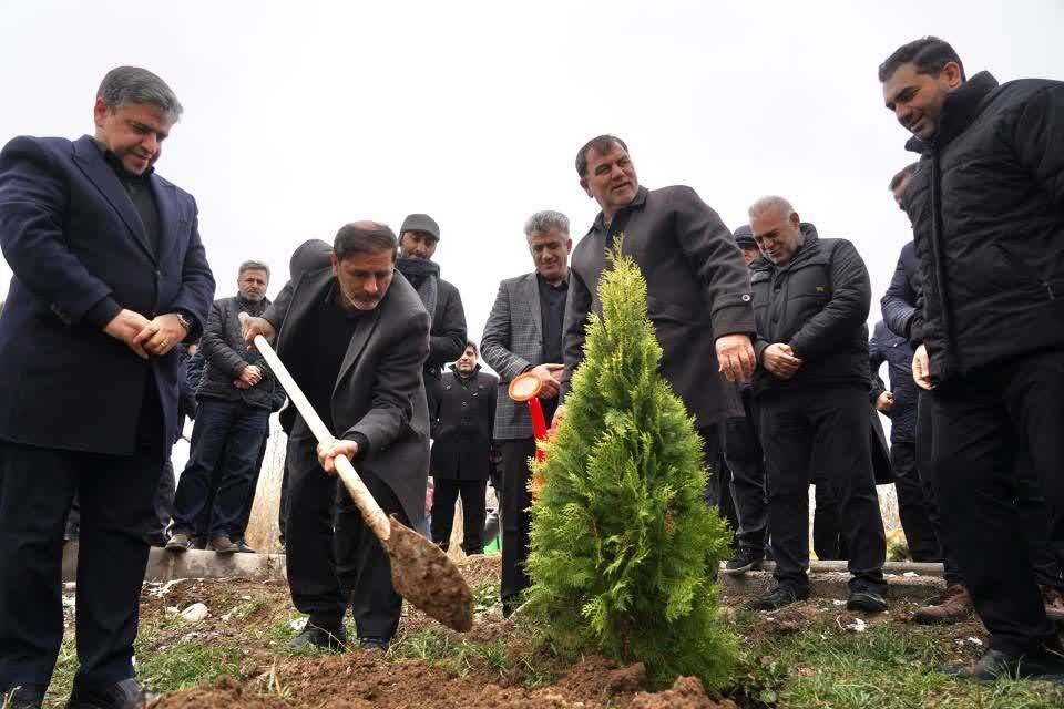 کاشت ۱۶۶ درخت مثمر در شورابیل اردبیل کاشت ۱۶۶ درخت مثمر در شورابیل اردبیل