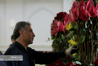 گل آرایی حرم مطهر رضوی در آستانه میلاد امام رضا (ع)