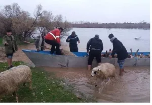 2 خانوار عشایری گرفتار سیلاب در شوش نجات یافتند