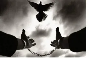آزادی بیش از ۱۰۴ هزار زندانی در سه دهه اخیر با فعالیت ستاد دیه