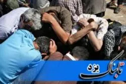 اجرای طرح پاکسازی نقاط آلوده و جرم خیز در یزد