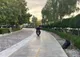 نظارت مستمر بر خدمات عمومی در کیش، فراتر از یک تکلیف/ چالش‌های نگران‌کننده برطرف شود!