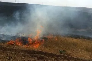 ۱۰ مورد آتش سوزی در مراتع فیروزکوه مهار شد