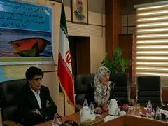 سالانه 3 هزار نفر به علت نرسیدن عضو اهدایی در کشور می‌میرند