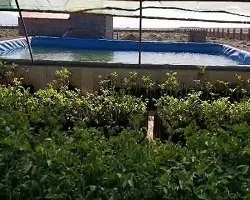 بهره برداری از 2 استخر ذخیره آب روستایی در نایین