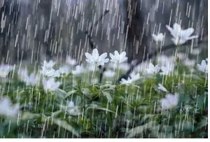 سامانه بارشی دیگری برای خوزستان در راه است