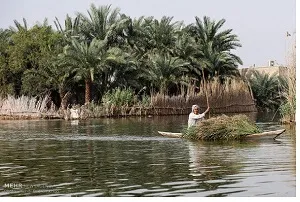 راه خروج آب تالاب شادگان به سمت دریا بسته شود