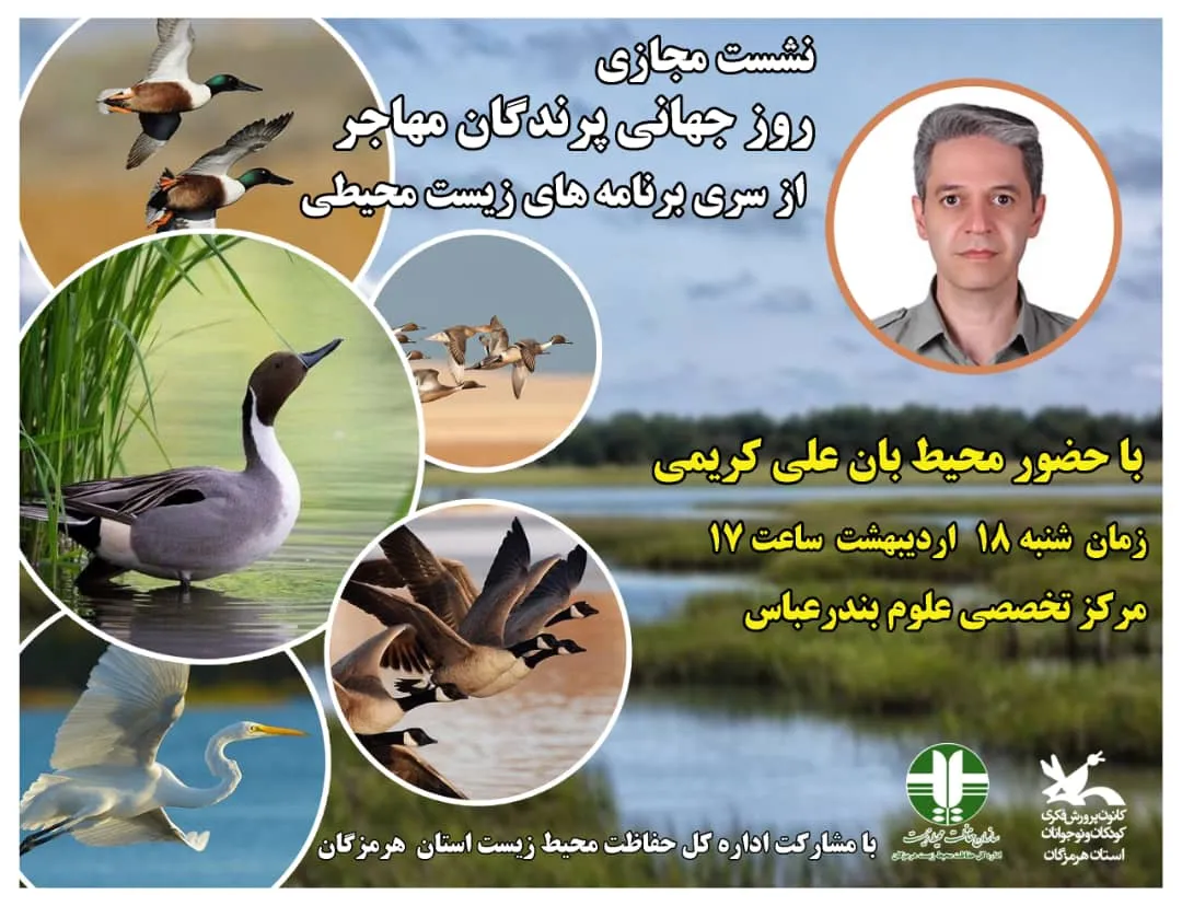 پرندگان چقدر در روز مهاجرت می کنند