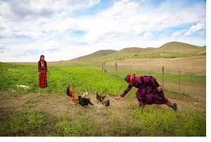 زیباسازی روستاها و مسیرهای عشایر کوچنده اندیمشک لازم است