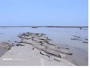 بازگشایی ۴ محور دیگر در خوزستان /۴محور همچنان مسدود هستند
