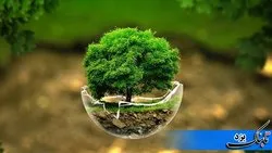 زندگی به سبک «پسماند صفر» در ابرکوه