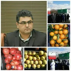 ایجاد غرف عرضه میوه به مناسبت شب یلدا