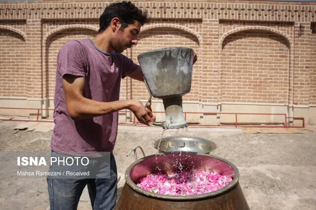 برگزاری نخستین جشنواره گلاب‌گیری در شهر قزوین