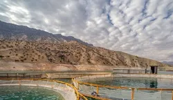 تولید سالانه 100 میلیون عدد تخم چشم‌زده ماهی قزل‌آلا در اصفهان
