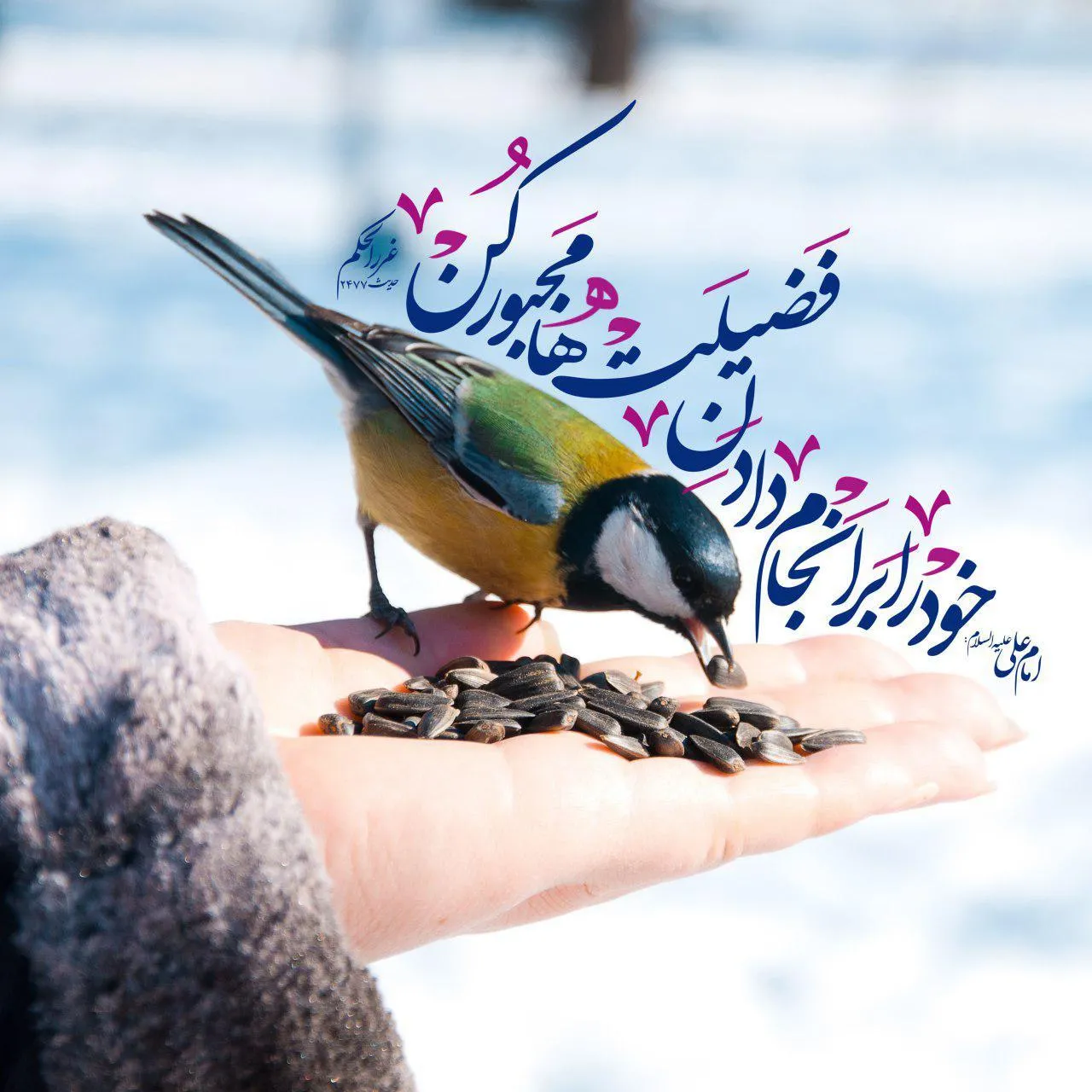 خود را بر انجام دادن فضيلت ها مجبور كن