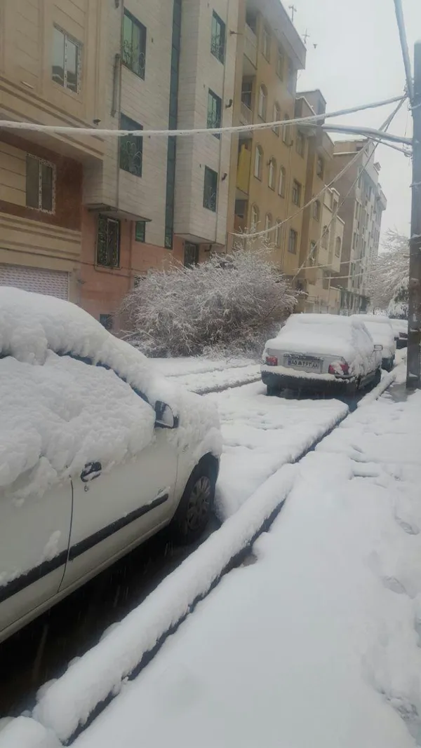 سقوط درخت روی خودرو در خیابان پیروزی تهران