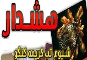 همه‌چیز درمورد تب کریمه کنگو